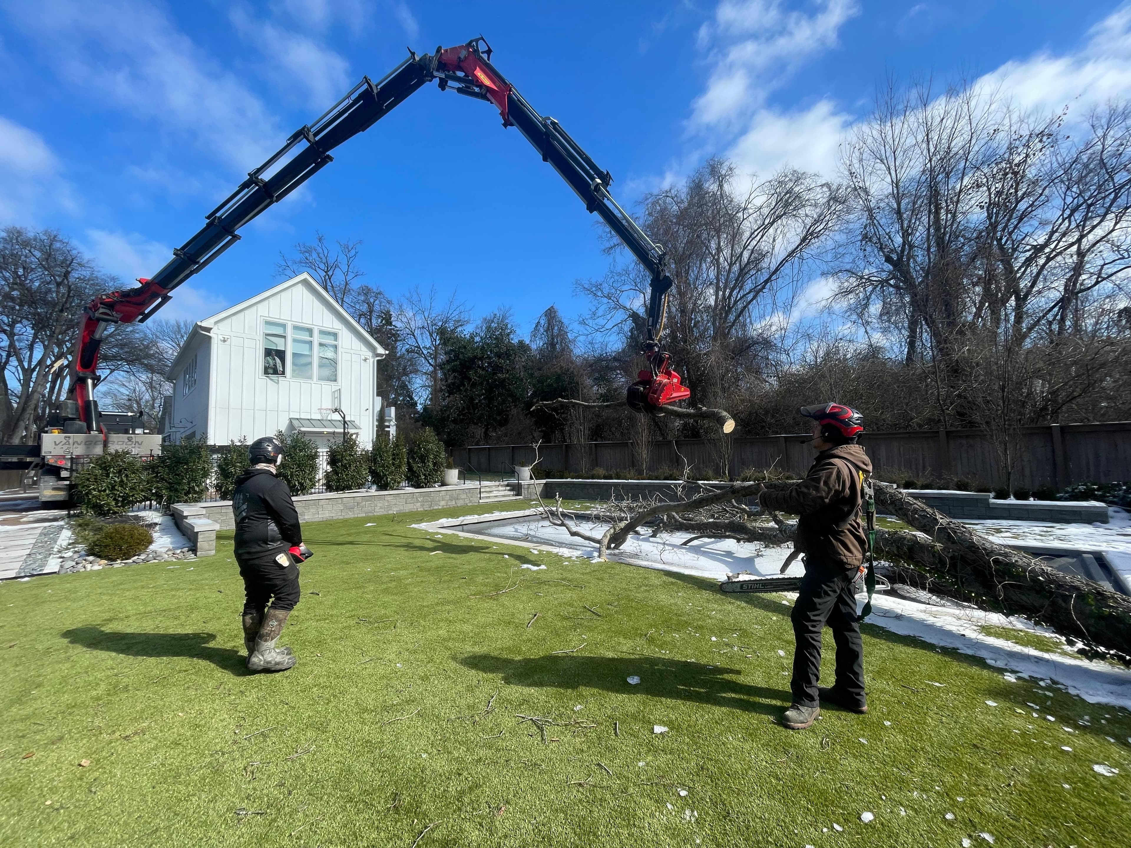 Tree Service Companies